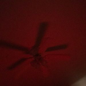 Meet your Posher, Jamyre